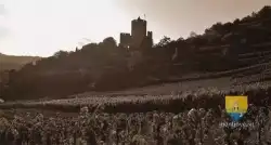 Donjon Kaysersberg Old 15 2012