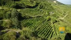 Kaysersberg Vigne 47 2012