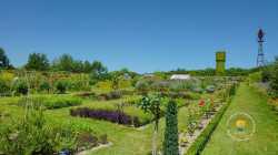Conservatoire Potager Bourdaisiere
