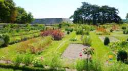 Fleurs Potager Moderne