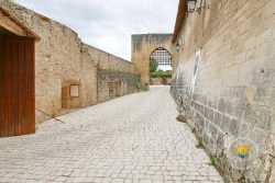 Entree Visite Chatelier Chateau