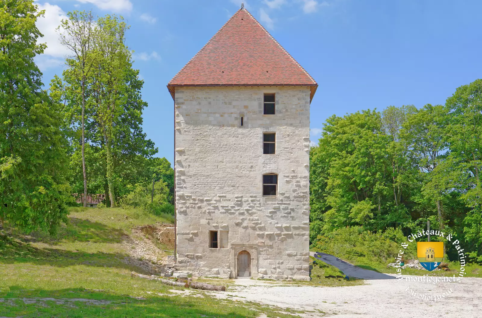 chateau donjon Vignory