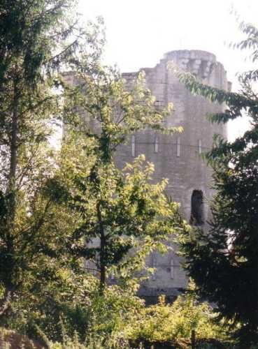 Donjon de Droizy, avant restauration