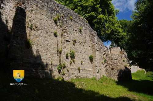 Enceinte du château de Vignory et ses contreforts, au fond une tour