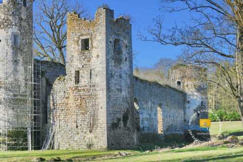 Donjon carré du château, au fond la tour dite de Charles v
