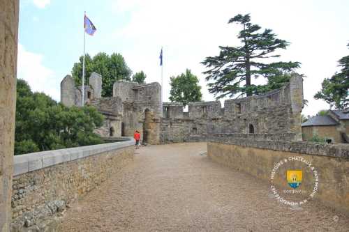 Barbacane du Château de Montreuil-Bellay