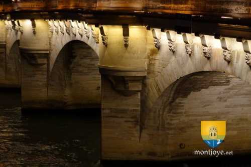 Mascarons du Pont-Neuf de Nuit à Paris
