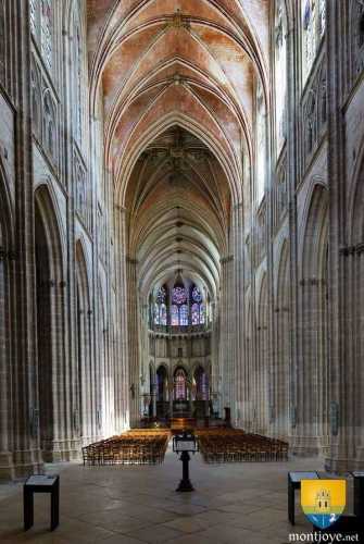 Nef cathédrale Saint-Étienne d&#039;Auxerre