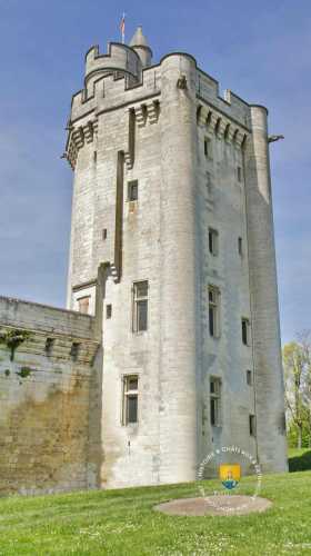 Donjon du château de Vez