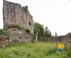 Chateau Birkenfels Visite Culturelle Alsace