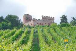 Chateau Kintzheim Route Des Vins