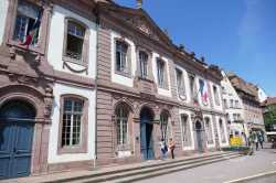 Tribunal De Colmar