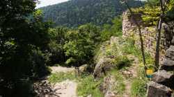 Chateau Chemin Vosges Chateau Chemin Vosges