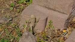 Ruine Ruine