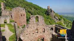 Chateau Saint Ulrich Chateau Saint Ulrich Chateau Du Girsberg