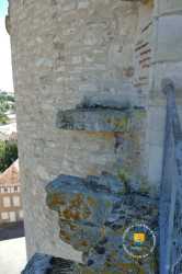 Latrine Chateau