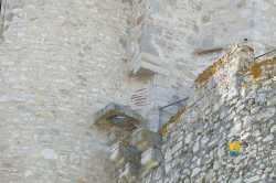 Latrine Donjon