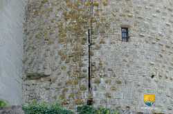 Archere