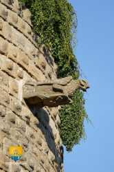 Gargouille