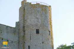 Tour XIIIe