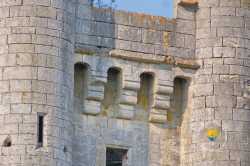 Machicoulis Donjon Porche Entree