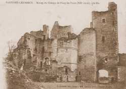 Ruine Du Chateau De Passy Les Tours