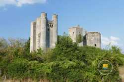 Varrennes Les Narcy Passy Les Tours