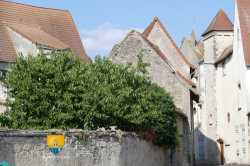 Rue