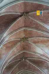 Voute Cathedrale