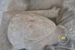 Aelis De Joigny