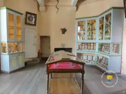 Salle Animaux Empaille Salle Animaux Empaille
