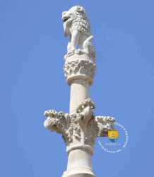 Lion Medieval