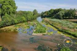Cher Riviere Cher Riviere