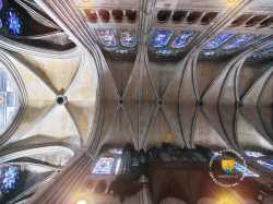 Nef Cathedrale