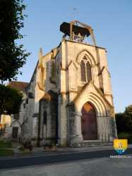 Notre Dame Alliance