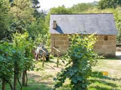 Loge De Vigne