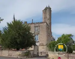 Visite Chateau De Beaumont La Ronce