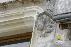 Fou Du Roi Fou Du Roi