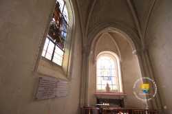 IMG 9721