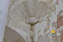 Cul De Lampe 