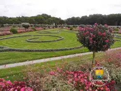 Fleurs Jardins Printemps