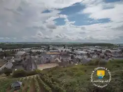 Vigne Ville De Chinon Vigne Ville De Chinon