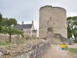 Donjon De Chion Logis Royal
