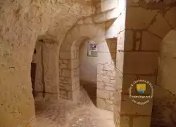 Troglodyte Troglodyte