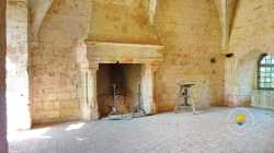 Chemine Grande Salle