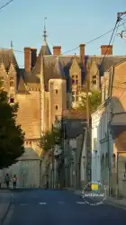 Rue  Rue