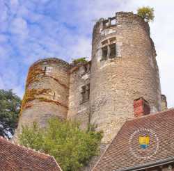 Tours Chateau Montresor Tours Chateau Montresor