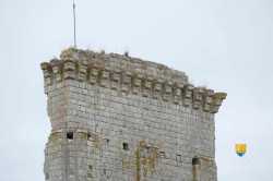 Machicoulis Du Donjon