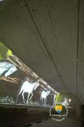 Ecurie Interieur Scinetique