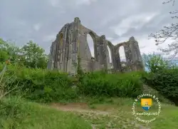 Collegiale XVIe Siecle Les Roches Tranchelion Avon Les Roches
